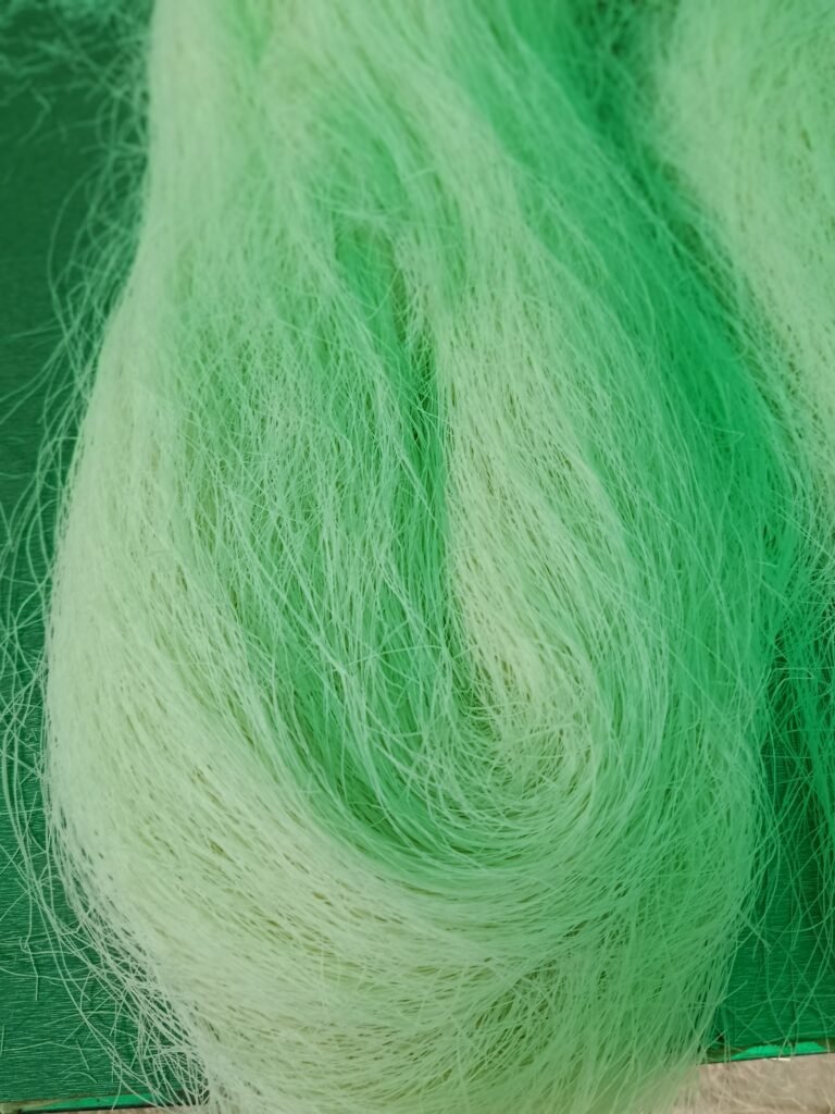 img 20251231 121214 (1)